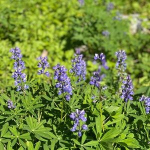 Meet your Posher, Katerina